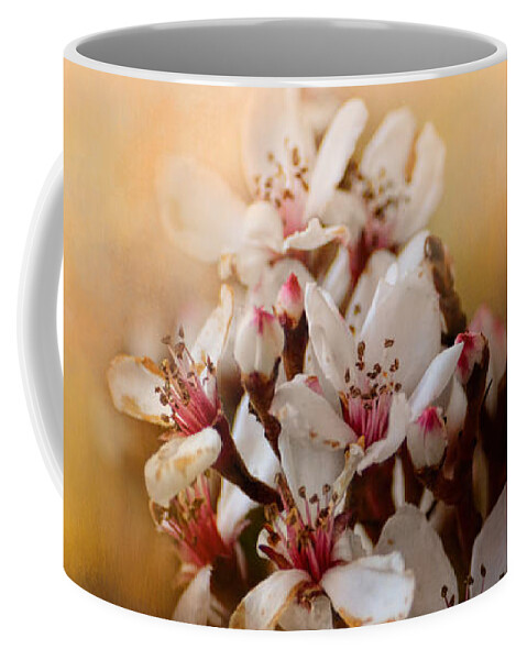Indian Hawthorne Coffee Mug featuring the photograph New Spring Blooms by Jai Johnson