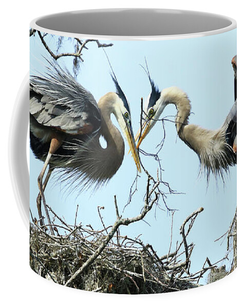 Heron Coffee Mug featuring the photograph New Twig by Deborah Benoit
