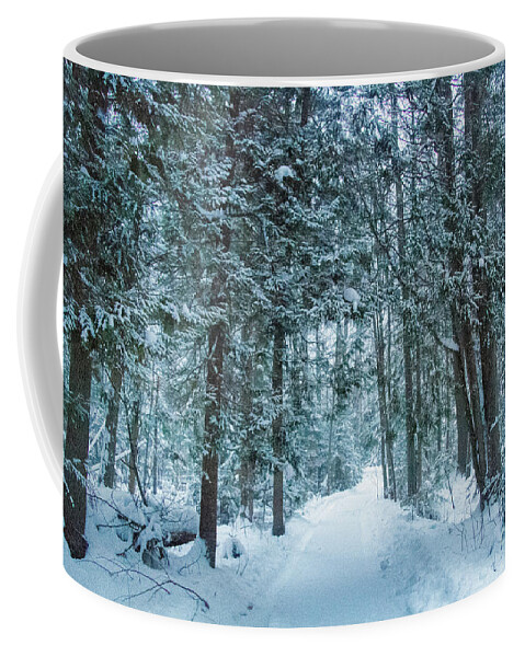 Campbellville Coffee Mug featuring the photograph Niagara Escarpment Winter Path by Marilyn Cornwell