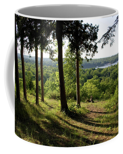 Nicolet Mooring Coffee Mug featuring the photograph Nicolet Mooring by Dylan Punke