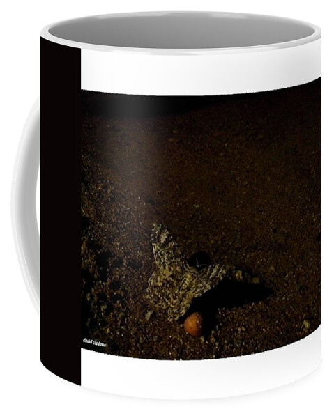 Life Coffee Mug featuring the photograph Night Butterfly
from
other Mind by David Cardona
