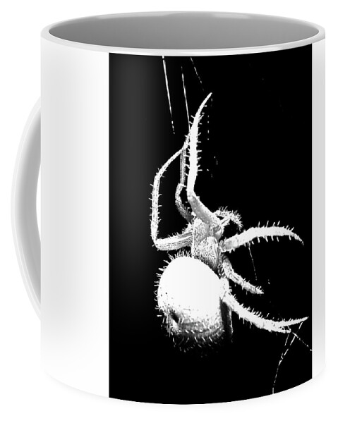 Arachnid Coffee Mug featuring the photograph Night Spider by Scott Cordell
