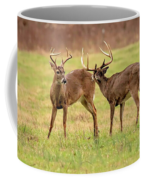 Bucks Coffee Mug featuring the photograph Nipping Around by Geraldine DeBoer