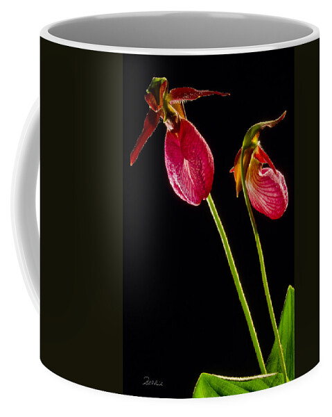 Photography Coffee Mug featuring the photograph No Lady Slipper Was Harmed by Frederic A Reinecke