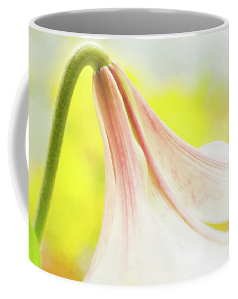 Lily Show 2017 Coffee Mug featuring the photograph Nodding by Marilyn Cornwell