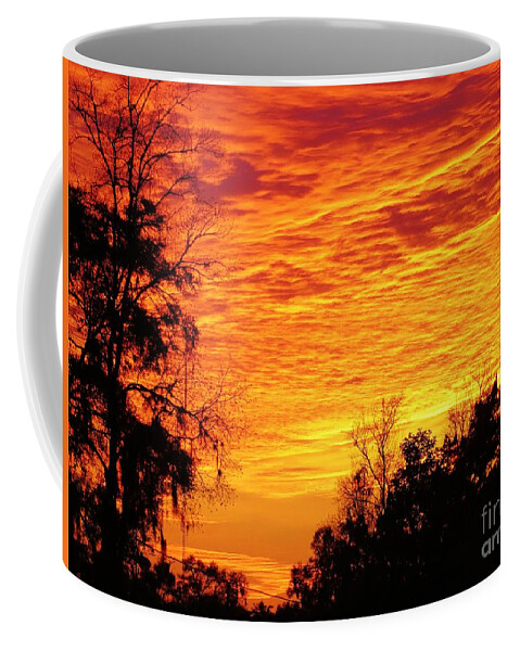 Florida Sunsets Coffee Mug featuring the photograph North Florida Sunset by Tim Townsend