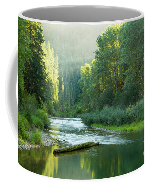  Coffee Mug featuring the photograph North Fork Atmosphere by Idaho Scenic Images Linda Lantzy