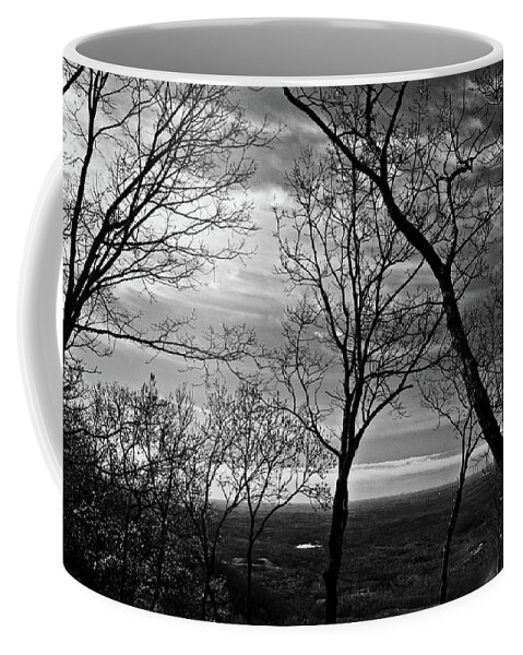 Forest Coffee Mug featuring the photograph North Georgia View by George Taylor