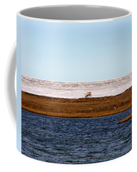 Arctic Coffee Mug featuring the photograph North Slope by Anthony Jones