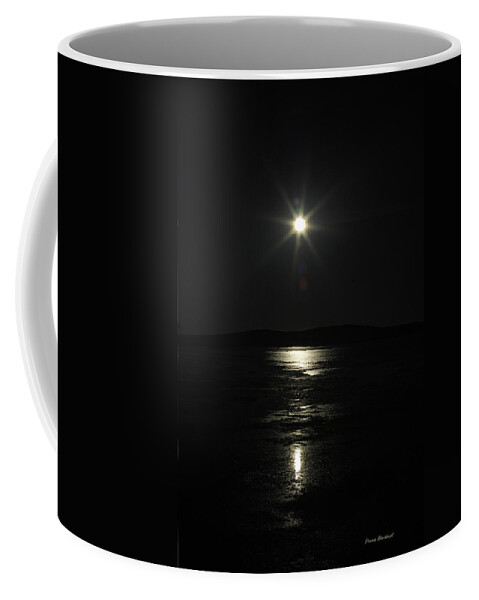 Star Coffee Mug featuring the photograph North Star by Donna Blackhall
