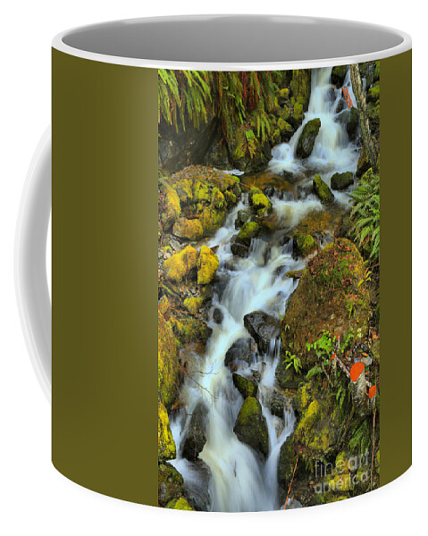 Port Alice Coffee Mug featuring the photograph North Vancouver Island Waterfall by Adam Jewell