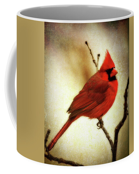 backyard Birds Coffee Mug featuring the photograph Northern Cardinal by Lana Trussell