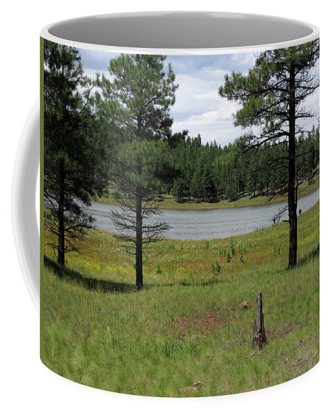 Lake Coffee Mug featuring the photograph Northland Arizona by Laurel Powell