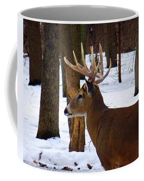 Winter Coffee Mug featuring the photograph NOT a 30 Point Buck by Wild Thing
