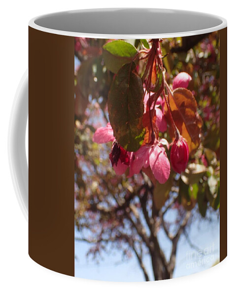 Flowers Coffee Mug featuring the photograph Not Far from the Tree by Christina Verdgeline