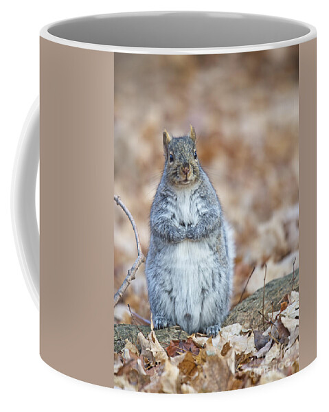 Nina Stavlund Coffee Mug featuring the photograph Not Fat Just Poofy... by Nina Stavlund