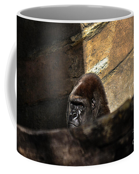 Primate Coffee Mug featuring the photograph Not Today by Gary Keesler