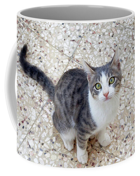 Cat Coffee Mug featuring the photograph Nous Nous by Munir Alawi