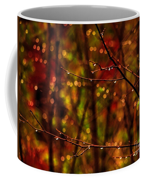 Rain Coffee Mug featuring the photograph November Rain by Terry Doyle