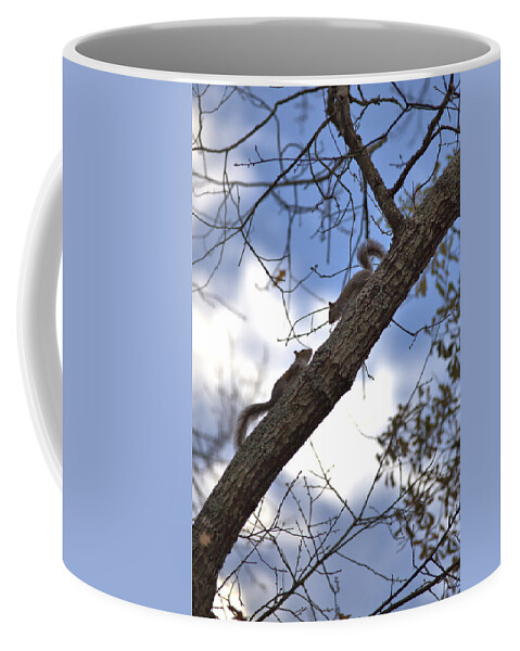 7644 Coffee Mug featuring the photograph Now What? by Gordon Elwell