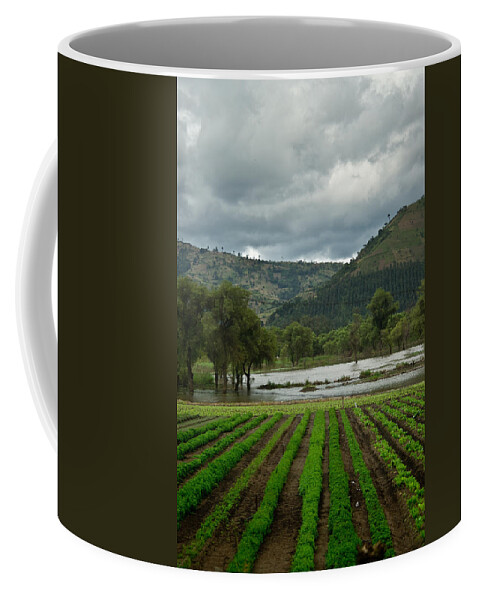 Highlands Coffee Mug featuring the photograph Nursery Highlands of Guatemala 1 by Douglas Barnett