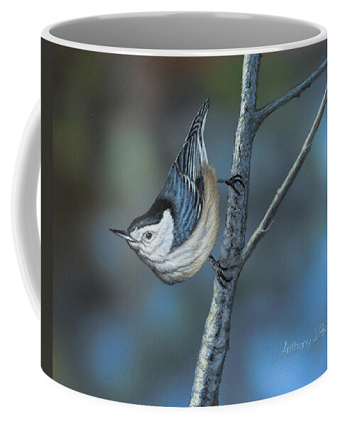 Nuthatch Coffee Mug featuring the painting Nuthatch by Anthony J Padgett