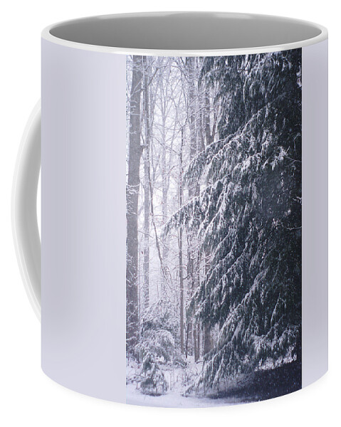 Christmas Pine Tree Coffee Mug featuring the photograph O Christmas Tree by Suzanne Powers