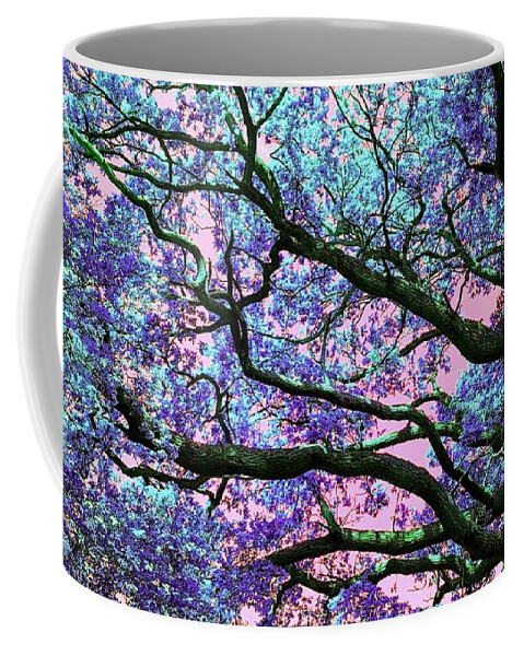  Coffee Mug featuring the photograph Oak Above In Twilight Blues by Rowena Tutty