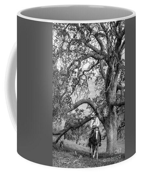 Cowboys Coffee Mug featuring the photograph Oak Arches by Diane Bohna