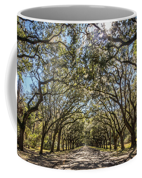 Georgia Coffee Mug featuring the photograph Oak Tree Tunnel #3 by Framing Places
