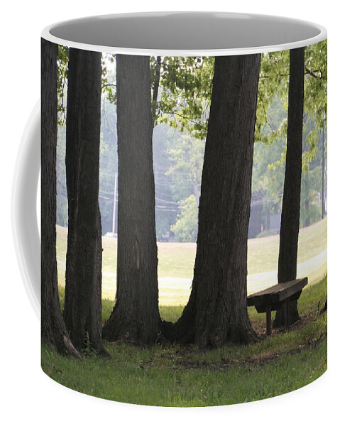 6 Oak Trees Coffee Mug featuring the photograph Oak Trees and Bench by Valerie Collins