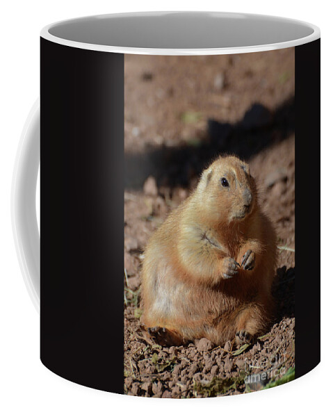 Fat Coffee Mug featuring the photograph Obese Prairie Dog Sitting in a Pile of Dirt by DejaVu Designs