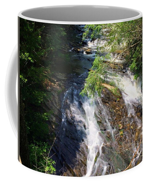 Waterfall Coffee Mug featuring the photograph Observation by Richie Parks