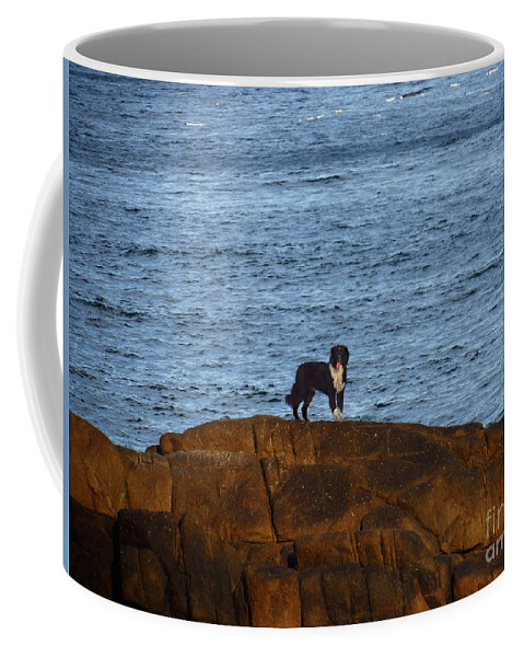 Dog Coffee Mug featuring the photograph Ocean Dog by Metaphor Photo
