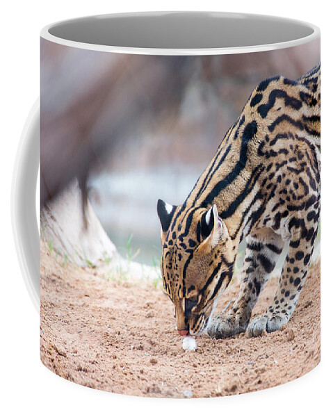 El Paso Coffee Mug featuring the photograph Ocelot and Egg by SR Green