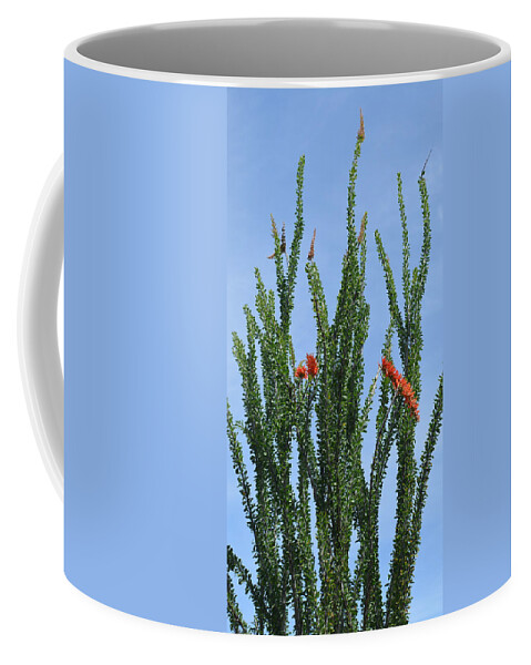 Desert Coffee Mug featuring the photograph Ocotillo Plant by Aimee L Maher ALM GALLERY