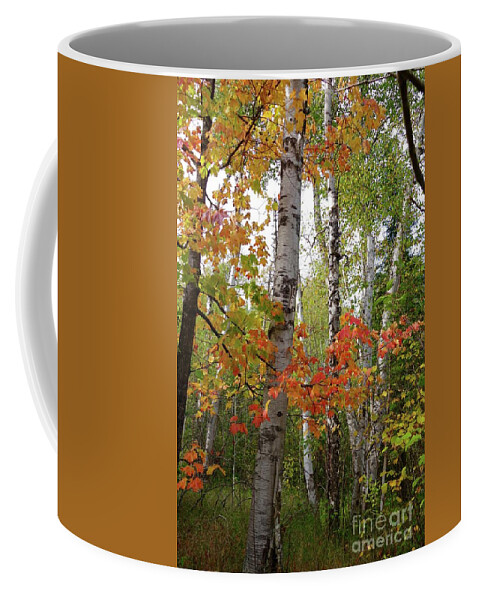 Maples Coffee Mug featuring the photograph October Colors by Sandra Updyke
