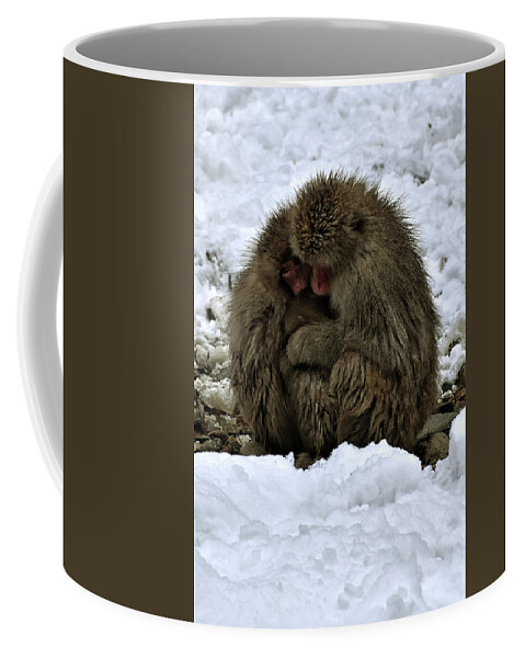 Snow Monkey Coffee Mug featuring the photograph Oh mummy it's cold by Kuni Photography