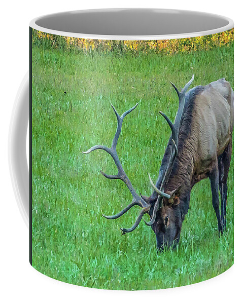 Blueridge Coffee Mug featuring the photograph Oh Those Horns by Peggy Blackwell