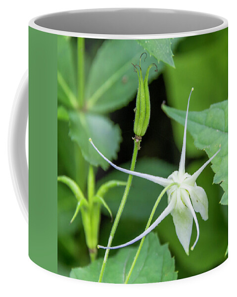 2018 Coffee Mug featuring the photograph Old and New by Teresa Mucha