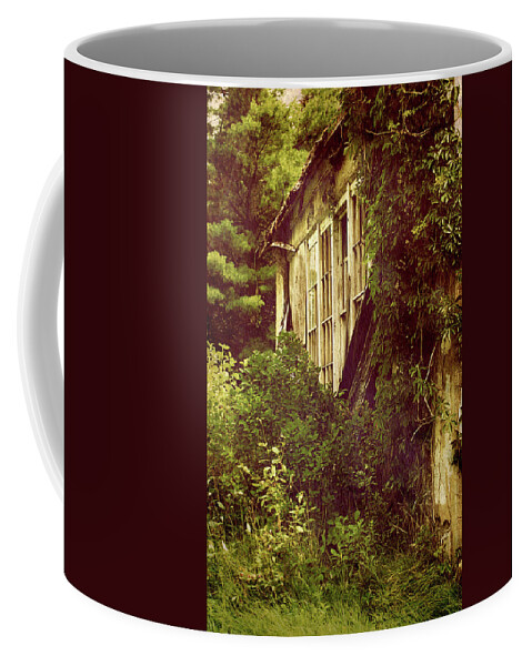 Abandoned Building Coffee Mug featuring the photograph Old Country Schoolhouse. by Kelly Nelson