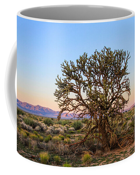 Bonnie Follett Coffee Mug featuring the photograph Old Growth Cholla Cactus view 2 by Bonnie Follett