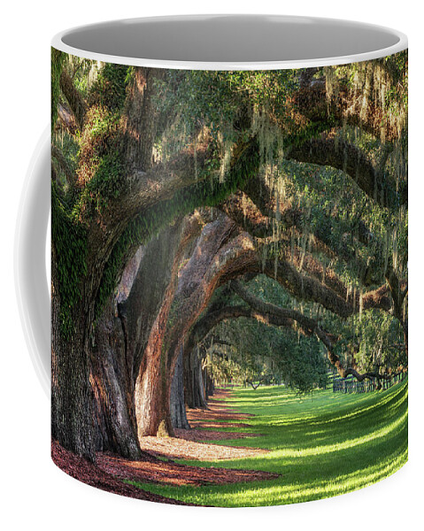 Arch Coffee Mug featuring the photograph Old Oaks by Alex Mironyuk