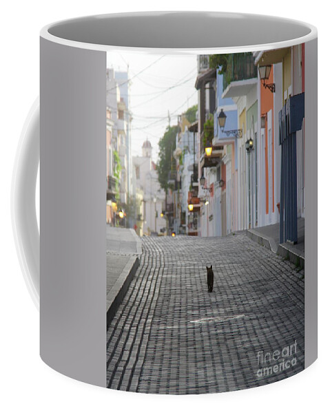 San Juan Coffee Mug featuring the photograph Old Town Alley Cat by Suzanne Oesterling