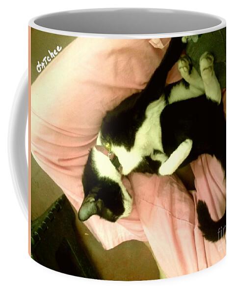 Cat Coffee Mug featuring the photograph On A Lap by Sukalya Chearanantana