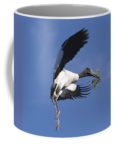 Stork Coffee Mug featuring the photograph On A Mission by Kenneth Albin