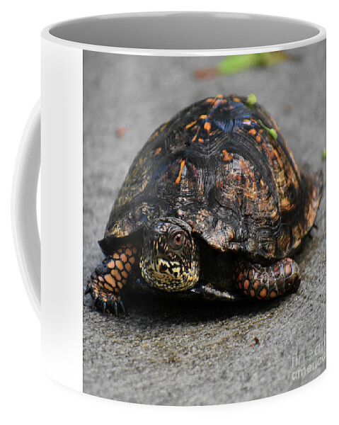 Nature Coffee Mug featuring the photograph On A Mission by Skip Willits