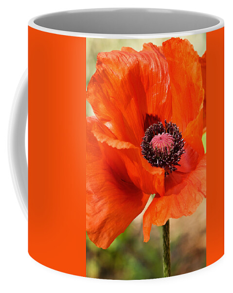Poppy Coffee Mug featuring the photograph On the Fringe by Jill Love