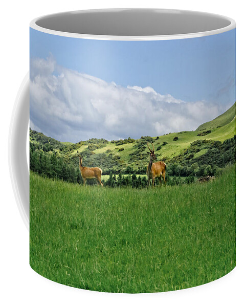 Beecraigs Coffee Mug featuring the photograph On the look-out. by Elena Perelman