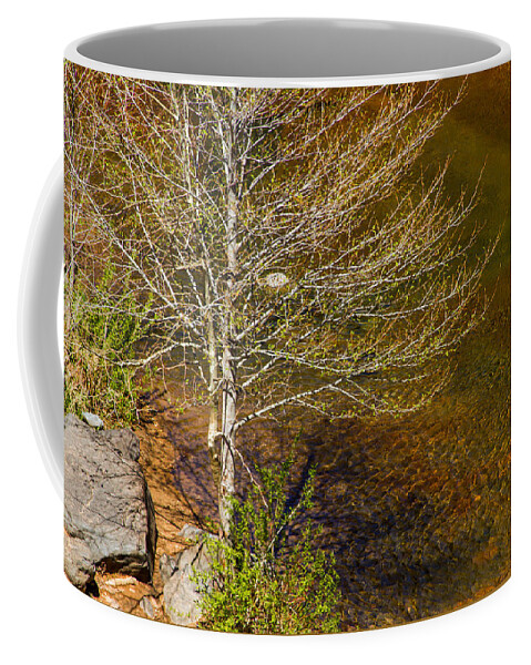 On The Shores Of Oak Creek Coffee Mug featuring the photograph On the Shores of Oak Creek by Bonnie Follett